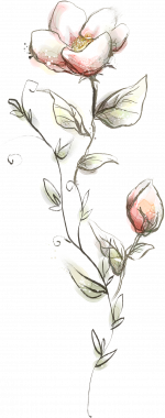 1660660409228.png 1660660409228.png