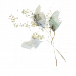 1660660858857.png 1660660858857.png