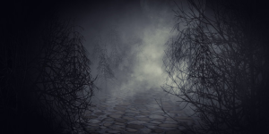 1718572717198.png 1718572717198.png