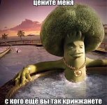 2MZhy-yS0Q.jpg