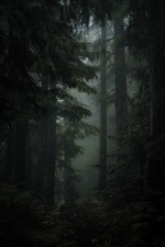 1728422185914.png 1728422185914.png