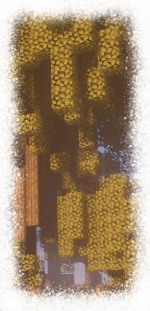 image (5).png image (5).png