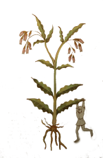 1740209899825.png 1740209899825.png