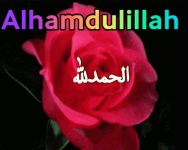 1744717206287.png