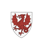 1744817873113.png