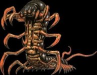 Centipede.jpeg