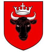 2025-02-20_223538 copy.png