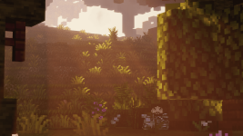 Updates Screenshot 2025.05.25 - 19.02.58.96.png