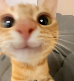 изображение_2025-06-18_223609892.png