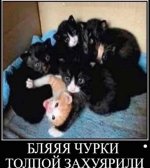 жиза.jpeg