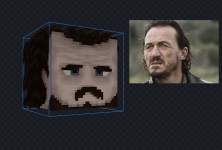 imsrewage.png