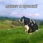 f968d4de995ca28ed96ab1daf1be0c62.jpg
