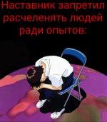 20250803_081319.jpg