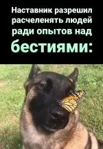 20250804_193640.jpg