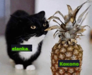 1755179905470.png