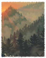 73f5b4ed55b54b92.png