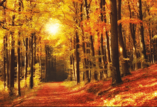 2025-08-28_16-49-52 (1).png