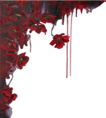 5325584582197771409-fotor-bg-remover-202509072956.png