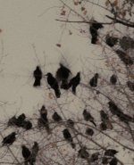 046df92d309cf5c1413c3397934fa5fc.jpg