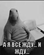 a95bc9f651b65b0ab628ce8f47e1e850.jpg