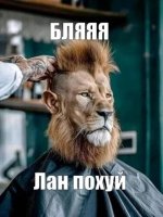 IMG_2580.jpeg