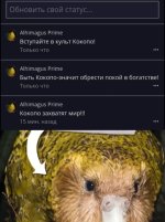 Screenshot_20251003-012455_Gallery.jpg
