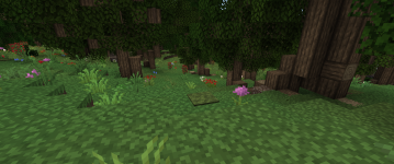 image4e.png