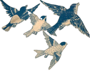 8.png