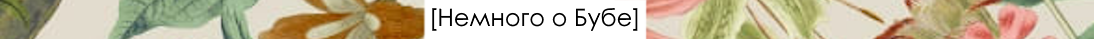 image (5).png
