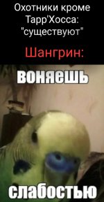 Screenshot_20251018-094655_Gallery.jpg