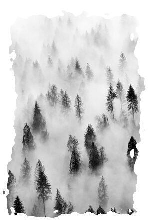 Лес.png Лес.png