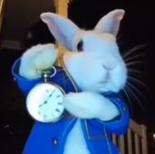 Screenshot_20251111-194445_Yandex Browser.jpg