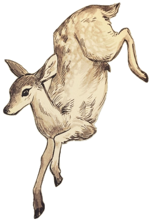 output-onlinetools (2)-fotor-2025112419463.png