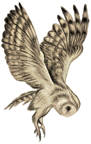 output-onlinetools (3)-fotor-20251124194635.png