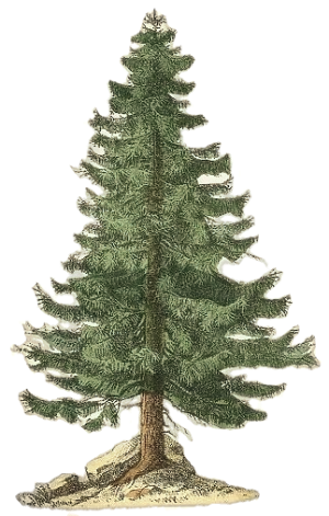 output-onlinetools (5)-fotor-20251124194917.png