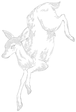 output-onlinetools (2)_edit_86880105167326.png