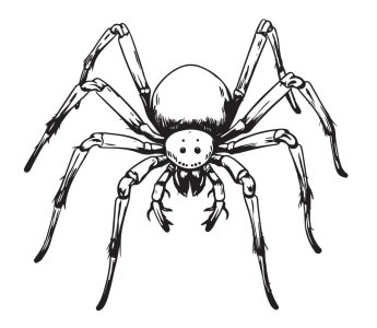 giant-house-spider-hand-drawing-vector.jpg giant-house-spider-hand-drawing-vector.jpg