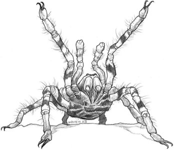 qmwsu2qe4c471.jpg qmwsu2qe4c471.jpg