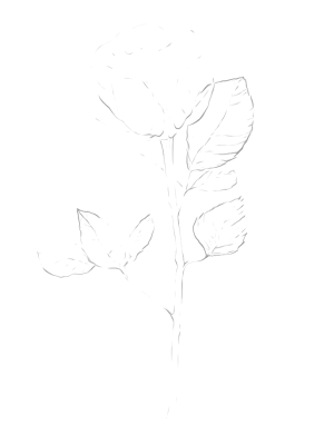 output-onlinepngtools (4)_edit_3433781479053.png