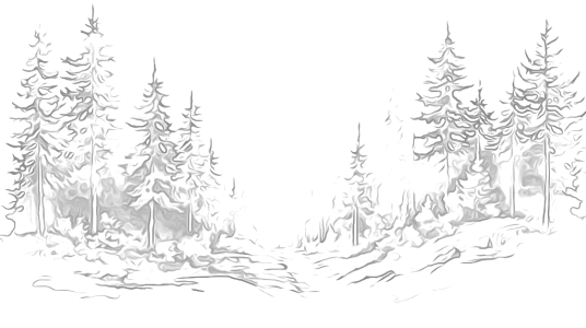 output-onlinejpgtools (7)_edit_3691880386923.png