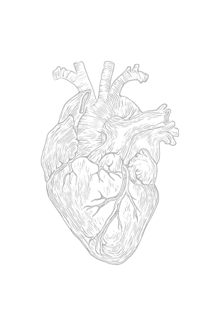 output-onlinejpgtools (6)_edit_3630825172988.png