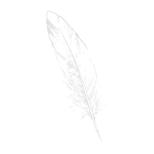 output-onlinetools (4)_edit_3575982462384.png