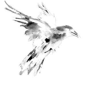 c4bb72dd5972939a006f09f379c3c505.png c4bb72dd5972939a006f09f379c3c505.png