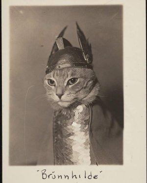 8_gLkygeebhBWph3wd1PCD-vZa2nnHjnQv5urE8SmsSuzuk9cjChEoYUTYuGa4vm_JU5r6q3jk29KIMYhZUe0D0R.jpg 8_gLkygeebhBWph3wd1PCD-vZa2nnHjnQv5urE8SmsSuzuk9cjChEoYUTYuGa4vm_JU5r6q3jk29KIMYhZUe0D0R.jpg