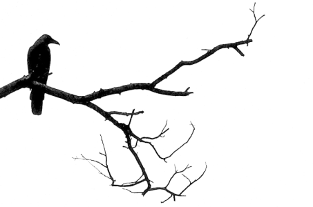 6a30ee5176f125d6171f683238c7d1c8.png 6a30ee5176f125d6171f683238c7d1c8.png