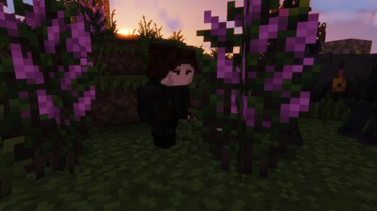 2025-12-07_23.21.47.jpg 2025-12-07_23.21.47.jpg