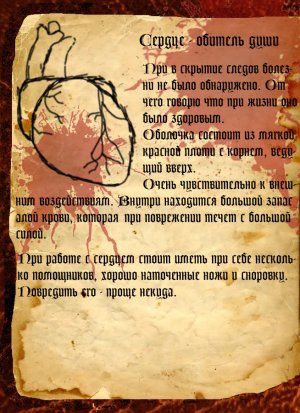 сердце.jpg сердце.jpg