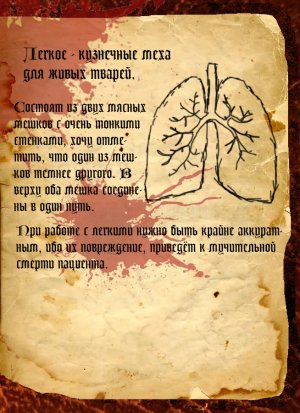 легкие.jpg легкие.jpg