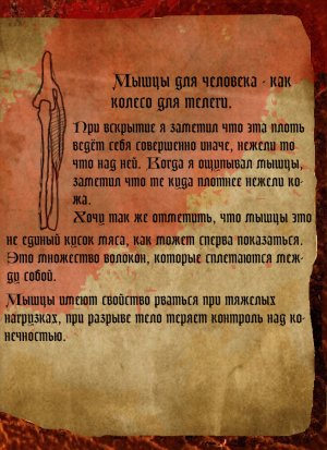 мышцы.jpg мышцы.jpg