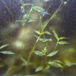 1145f7792f7c2a5e3703de2bd7b2dd79.jpg 1145f7792f7c2a5e3703de2bd7b2dd79.jpg